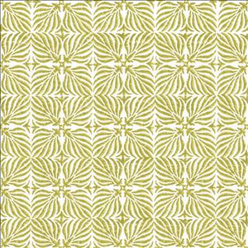 Kasmir Fabrics Floriata Blocks Olive Fabric 